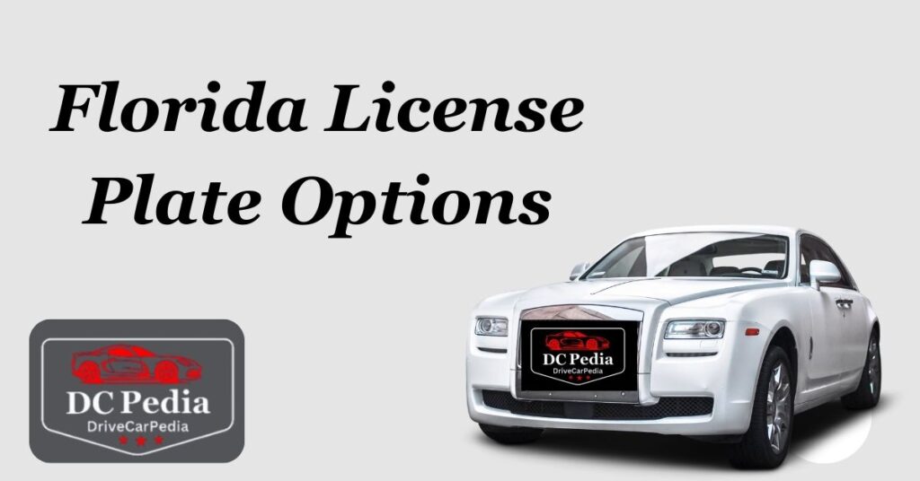 Florida License Plate Options 2024(A Detailed Guide)