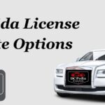 Florida License Plate Options 2024(A Detailed Guide)