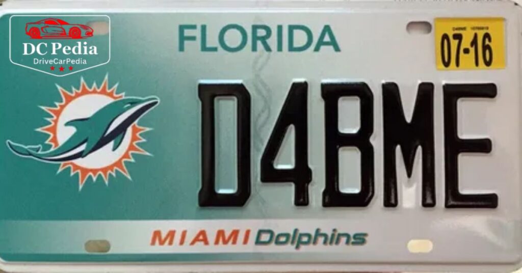 What Does pm Mean On A License Plate Florida? (Full Guide)