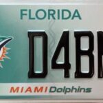 What Does pm Mean On A License Plate Florida? (Full Guide)